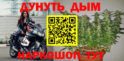 индика Ярославль