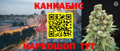 индика Ярославль