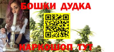 индика Ярославль