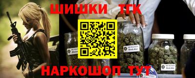индика Ярославль