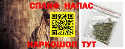 индика Ярославль