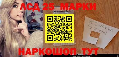 индика Ярославль